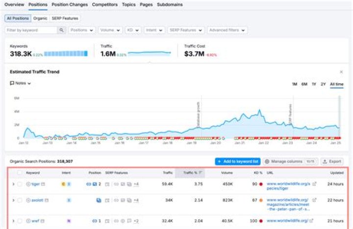 Check Your Website's Keyword Position On Google