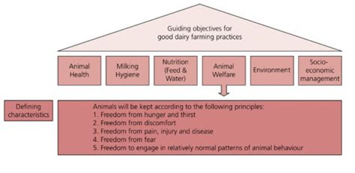 Discover SZA's Daughter's Age: A Comprehensive Guide For Curiosity Seekers