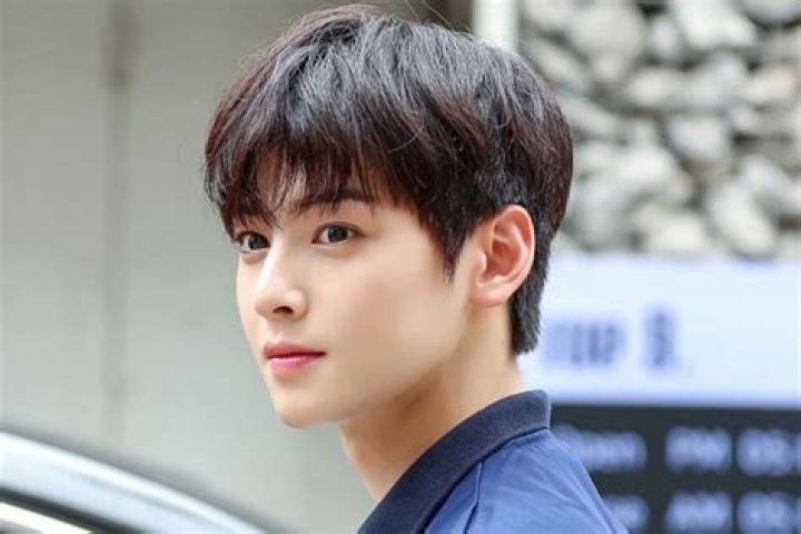 Is Cha Eun Woo Officially Off The Market? The Truth About His Engagement Rumors