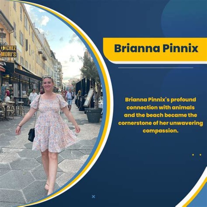 Pinnix Brianna: A Superior Choice For Your Projects