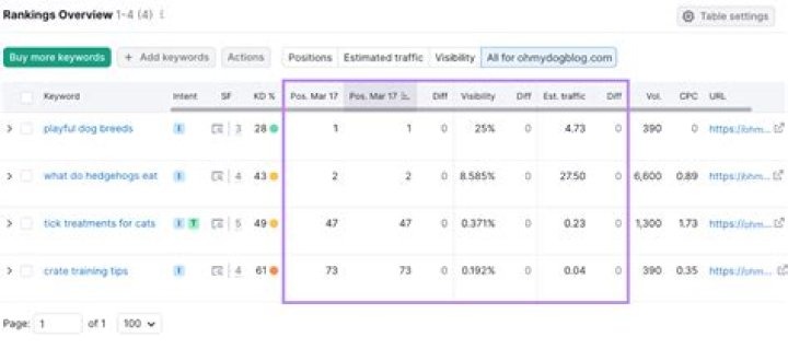 Rank Tracking Done Right: Monitor Keyword Performance Effortlessly