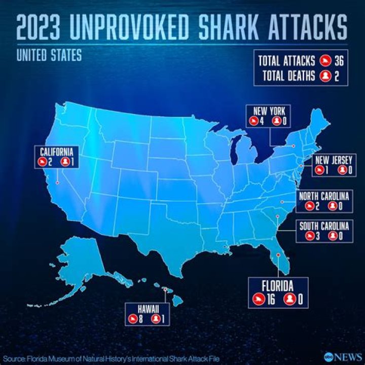 Shark Attacks Near Hilton Head 2024: Are You At Risk?