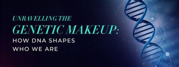 The Genetic Makeup Of Noah Galvin: Uncovering His Ethnic Background