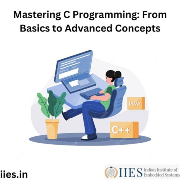 The Ultimate Guide To Engaging In Dry Begging: From Basics To Advanced Techniques