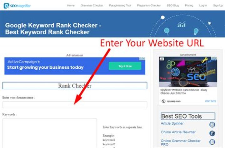 The Ultimate Guide To Finding The Best Google Keyword Rank Checker