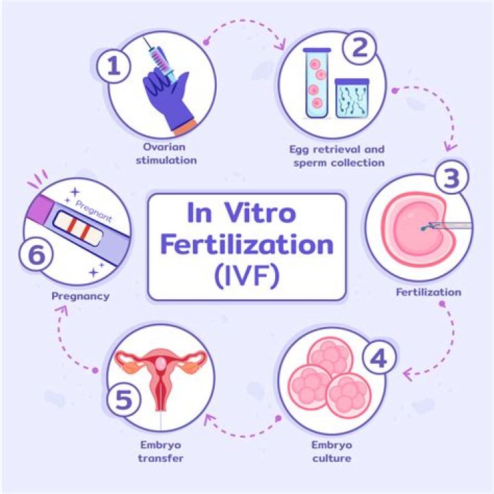 Uncover The Power Of IVF With IvFseek: Your Guide To Fertility Solutions