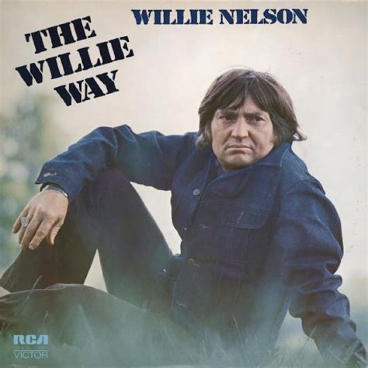 Willie Way: The Ultimate Guide To Elevating Your Music Career