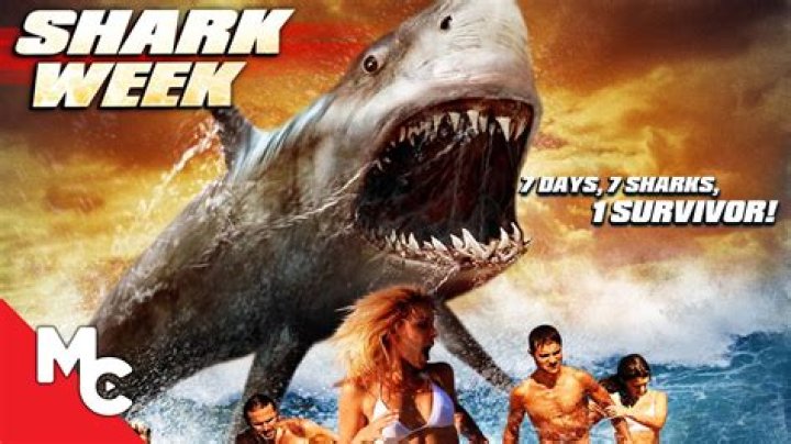 Witness The Horror: Shark Assault On Hilton Head's Shores